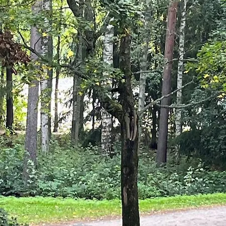 Hyvaellae Sijainnilla Iso Kaksio Hervannassa * Tampere