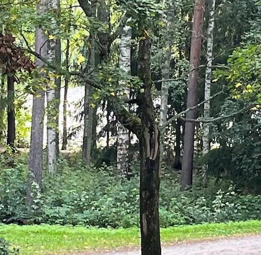 Hyvaellae Sijainnilla Iso Kaksio Hervannassa * Tampere